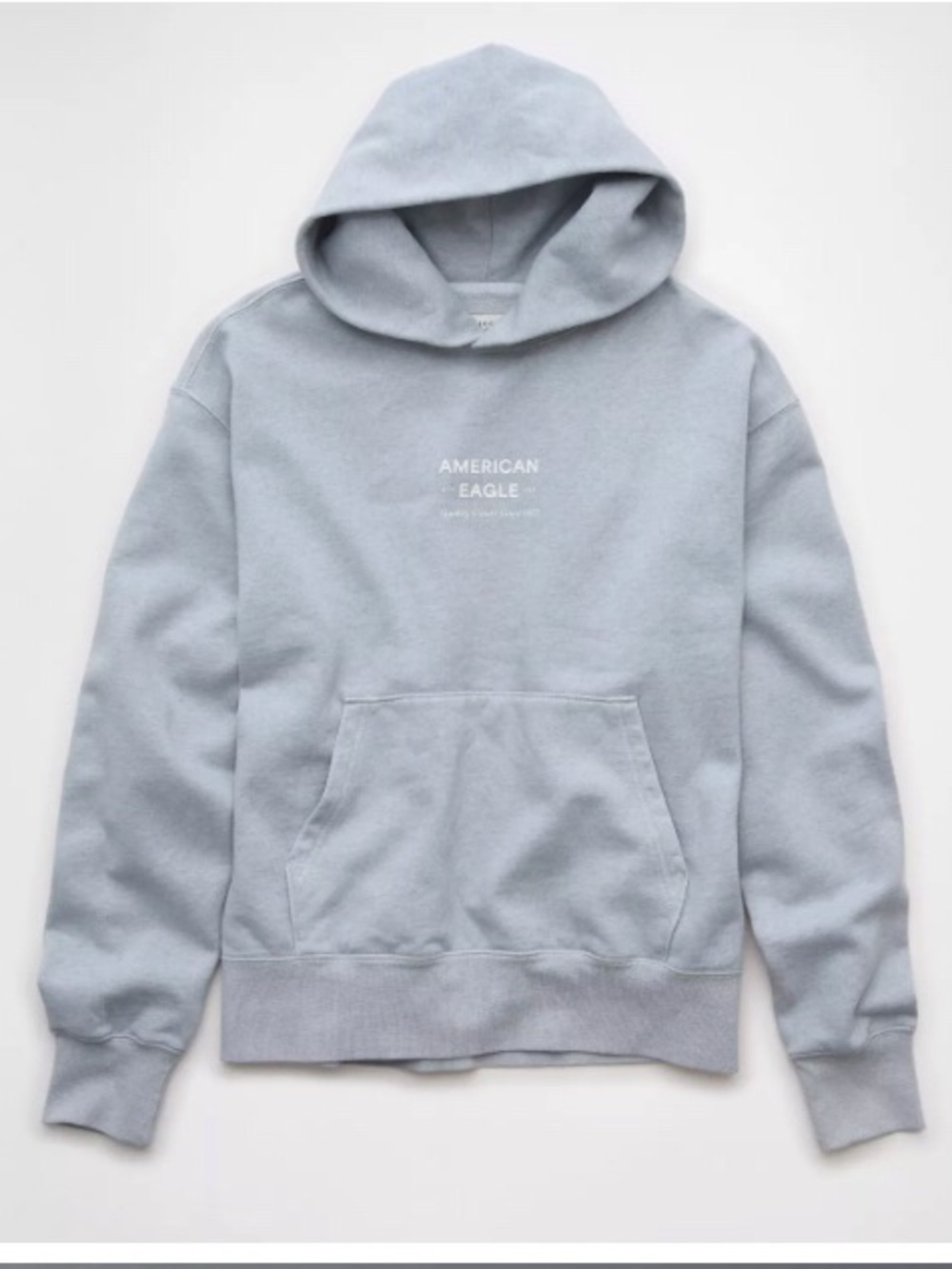 American Eagle Outfitters Heavy Weight Pale Blue Pullover Hoodie